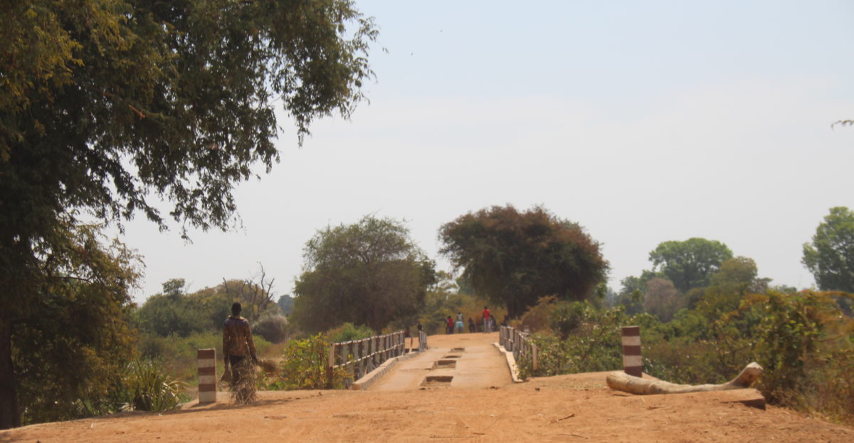 Article : Carnet de voyage (1/2) : sur le périlleux trajet N’Djamena – Moïssala